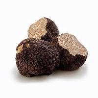 Tartufo